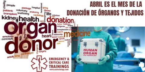 abril es el mes de la donación de órganos