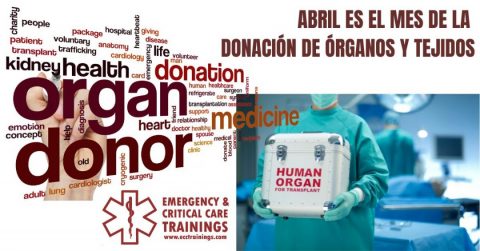 abril es el mes de la donación de órganos