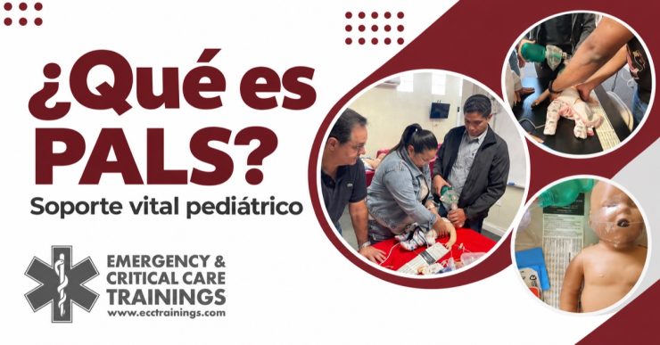 Qué es PALS: práctica de soporte vital pediátrico en ECCtrainings con el logo oficial