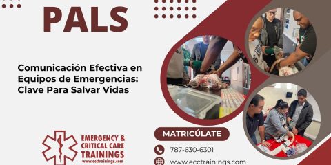 Comunicación Efectiva en Equipos de Emergencias: Clave Para Salvar Vidas