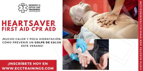 ¡Mucho Calor y Poca Hidratación: Cómo Prevenir un Golpe de Calor Este Verano!
