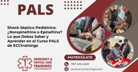 Shock Séptico Pediátrico: ¿Norepinefrina o Epinefrina? Lo que Debes Saber y Aprender en el Curso PALS de ECCtrainings