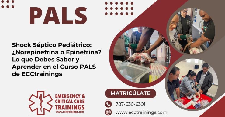 Shock Séptico Pediátrico: ¿Norepinefrina o Epinefrina? Lo que Debes Saber y Aprender en el Curso PALS de ECCtrainings