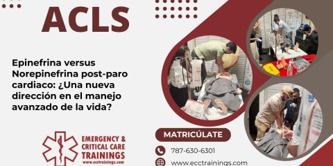 Epinefrina versus Norepinefrina post-paro cardiaco: ¿Una nueva dirección en el manejo avanzado de la vida?