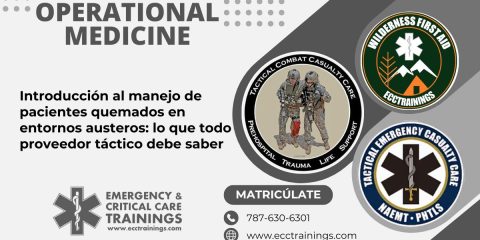 Introducción al manejo de pacientes quemados en entornos austeros: lo que todo proveedor táctico debe saber