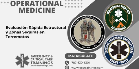 Evaluación Rápida Estructural y Zonas Seguras en Terremotos