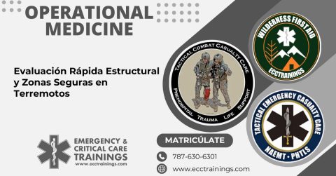 Evaluación Rápida Estructural y Zonas Seguras en Terremotos