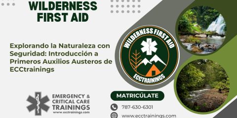 Explorando la Naturaleza con Seguridad: Introducción a Primeros Auxilios Austeros de ECCtrainings