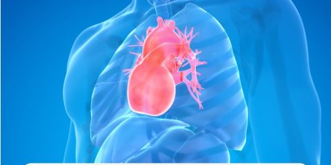 El Shock Cardiogénico: Una Carrera Contra el Tiempo y una Oportunidad de Preparación Crítica