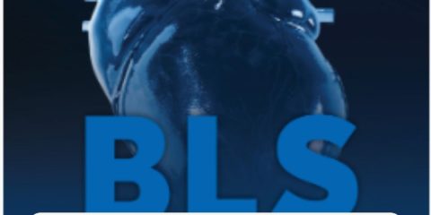 Domina las Nuevas Guías 2025 de BLS en adultos: Lo que Todo Profesional de la Salud Debe Saber