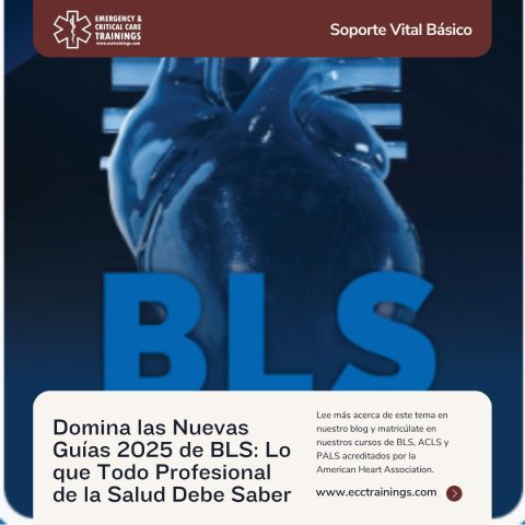 Domina las Nuevas Guías 2025 de BLS en adultos: Lo que Todo Profesional de la Salud Debe Saber