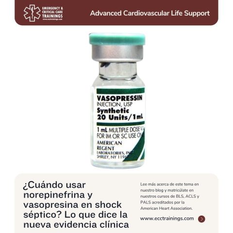 ¿Cuándo usar norepinefrina y vasopresina en shock séptico? Lo que dice la nueva evidencia clínica