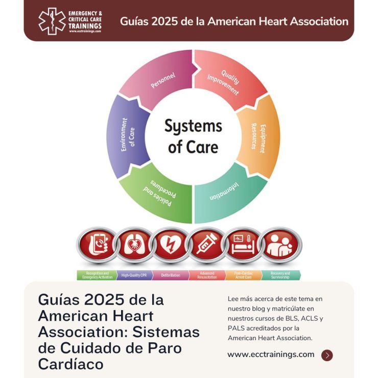 Sistemas de Cuidado de Paro Cardíaco