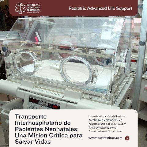 Transporte Interhospitalario de Pacientes Neonatales: Una Misión Crítica para Salvar Vidas