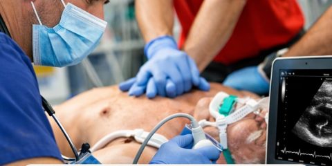 Ultrasonido para predecir ausencia de retorno de circulación espontánea: Un pilar emergente en la reanimación avanzada