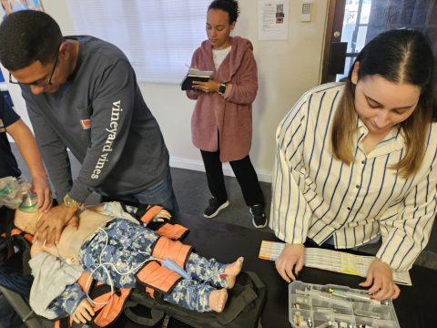 Administración de medicamentos durante la RCP pediátrica: precisión bajo presión