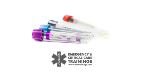 curso de canalización